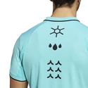 Koszulka męska adidas  Paris Freelift Polo Aqua