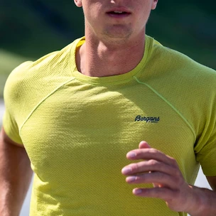Koszulka męska Bergans  Floyen Wool Tee Green XL