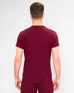 Koszulka męska BIDI BADU  Protected Leafs Chill Tee Bordeaux M