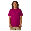 Koszulka męska CCM  Casual Tee Boysenberry