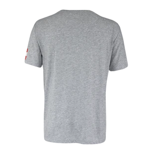 Koszulka męska CCM  FLAG TEE TEAM AUSTRIA Athletic Grey