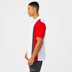 Koszulka męska Head  CLUB 25 TECH T-Shirt Men Red/White