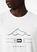 Koszulka męska Helly Hansen  Skog Recycled Graphic T-Shirt White