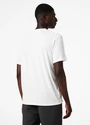 Koszulka męska Helly Hansen  Skog Recycled Graphic T-Shirt White