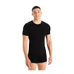 Koszulka męska Icebreaker Merino Anatomica 150 SS Crewe Black
