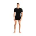 Koszulka męska Icebreaker Merino Anatomica 150 SS Crewe Black
