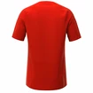 Koszulka męska Inov-8  Base Elite SS Red