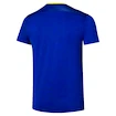 Koszulka męska Mizuno  Frontier Shadow Graphic Tee M Bellwether Blue