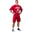 Koszulka męska Nebbia NEBBIA x OLYMPIA Washed Oversized T-Shirt GOLDEN AGE 790 red