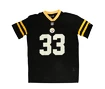 Koszulka męska New Era  NFL oversized tee Pittsburgh Steelers