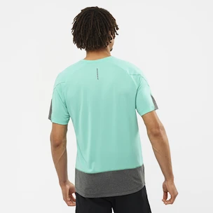 Koszulka męska Salomon Cross Run SS Tee Pool Blue/Black