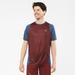 Koszulka męska Salomon Sense Aero SS Tee Cabernet