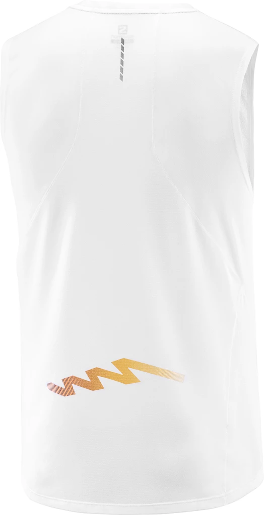 Koszulka męska Salomon Sense Aero Trail Tank Autumn Blaze
