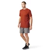 Koszulka męska Smartwool  Merino Sport 150 Tech Tee Picante