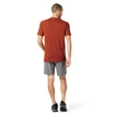 Koszulka męska Smartwool  Merino Sport 150 Tech Tee Picante