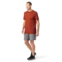 Koszulka męska Smartwool  Merino Sport 150 Tech Tee Picante