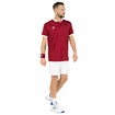 Koszulka męska Tecnifibre  Club Polo Cardinal