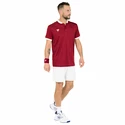 Koszulka męska Tecnifibre  Club Polo Cardinal