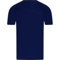 Koszulka męska Victor  T-Shirt T-33100 Blue