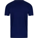 Koszulka męska Victor  T-Shirt T-33103 Blue