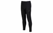 Legginsy męskie Inov-8  Winter Tight M