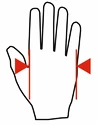 MadMax Rękawiczki dla wózków inwalidzkich Krótkie palce GWC001