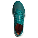 Męskie buty do biegania adidas Terrex Agravic Speed Purtea/Greone/Cblack