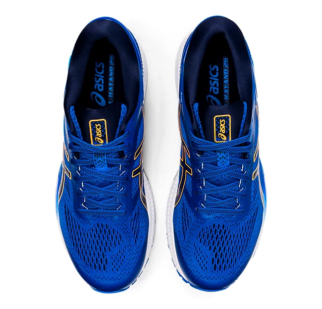 Męskie buty do biegania Asics