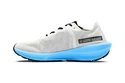 Męskie buty do biegania Craft CTM Ultra CTM Ultra white/grey