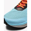 Męskie buty do biegania Craft  PRO Endurance Trail
