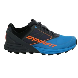 Męskie buty do biegania Dynafit Alpine Magnet