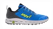 Męskie buty do biegania Inov-8  Parkclaw G 280 M (S) Blue/Grey