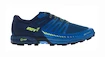 Męskie buty do biegania Inov-8 Roclite 275 M V2 (M) Blue/Navy/Lime