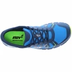 Męskie buty do biegania Inov-8 Trailfly 250 (s)