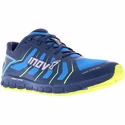 Męskie buty do biegania Inov-8 Trailfly 250 (s)