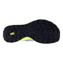 Męskie buty do biegania Inov-8 Trailfly Max  Blue Grey/Coral/Light Grey