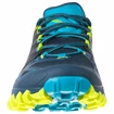 Męskie buty do biegania La Sportiva Bushido II Opal/Apple Green