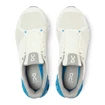 Męskie buty do biegania On  Cloudflyer White/Blue