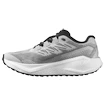 Męskie buty do biegania Salomon Aero Blaze 3 GRVL Lunar Rock/White/Black