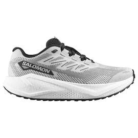 Męskie buty do biegania Salomon Aero Blaze 3 GRVL Lunar Rock/White/Black