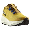 Męskie buty do biegania Salomon Aero Blaze 3 GRVL Spicy Mustard/Vanilla Ice/Nautical Blue