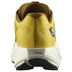 Męskie buty do biegania Salomon Aero Blaze 3 GRVL Spicy Mustard/Vanilla Ice/Nautical Blue