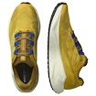 Męskie buty do biegania Salomon Aero Blaze 3 GRVL Spicy Mustard/Vanilla Ice/Nautical Blue