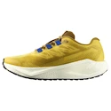 Męskie buty do biegania Salomon Aero Blaze 3 GRVL Spicy Mustard/Vanilla Ice/Nautical Blue