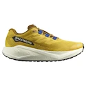 Męskie buty do biegania Salomon Aero Blaze 3 GRVL Spicy Mustard/Vanilla Ice/Nautical Blue