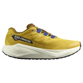 Męskie buty do biegania Salomon Aero Blaze 3 GRVL Spicy Mustard/Vanilla Ice/Nautical Blue