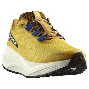 Męskie buty do biegania Salomon Aero Blaze 3 GRVL Spicy Mustard/Vanilla Ice/Nautical Blue