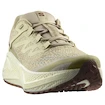 Męskie buty do biegania Salomon Aero Glide 3 GRVL Green Haze/Vanilla Ice/Russet