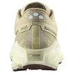 Męskie buty do biegania Salomon Aero Glide 3 GRVL Green Haze/Vanilla Ice/Russet