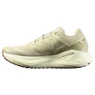 Męskie buty do biegania Salomon Aero Glide 3 GRVL Green Haze/Vanilla Ice/Russet